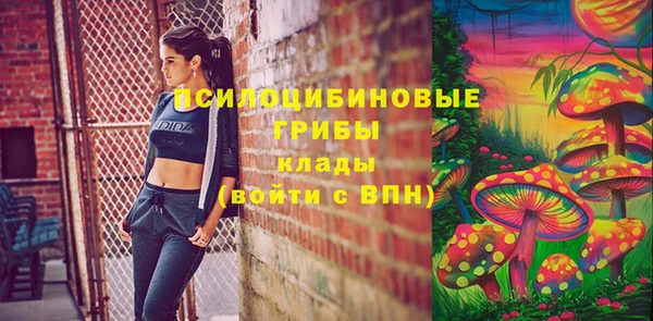 бошки Балахна